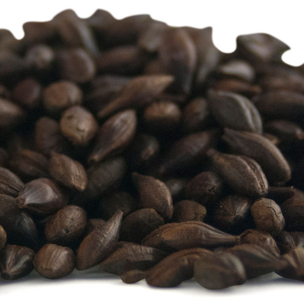 Muntons Chocolate Malt