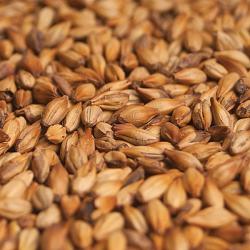 Patagonia Caramel 90L Malt